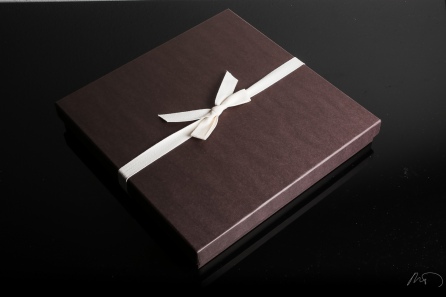 Micah DeBenedetto-MD Photography - 2013 Custom Design Wedding Album with keepsake Box and Boutique Bag-1700
